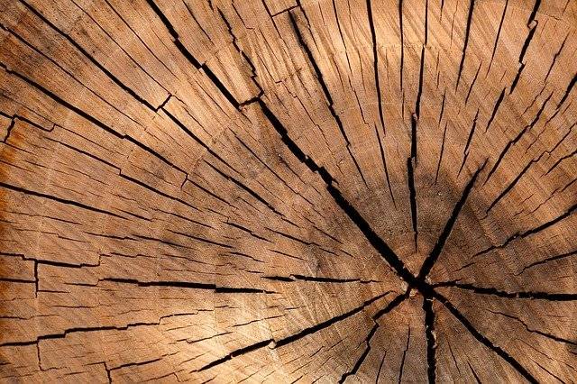 What is Rubber Wood What is Rubber Wood